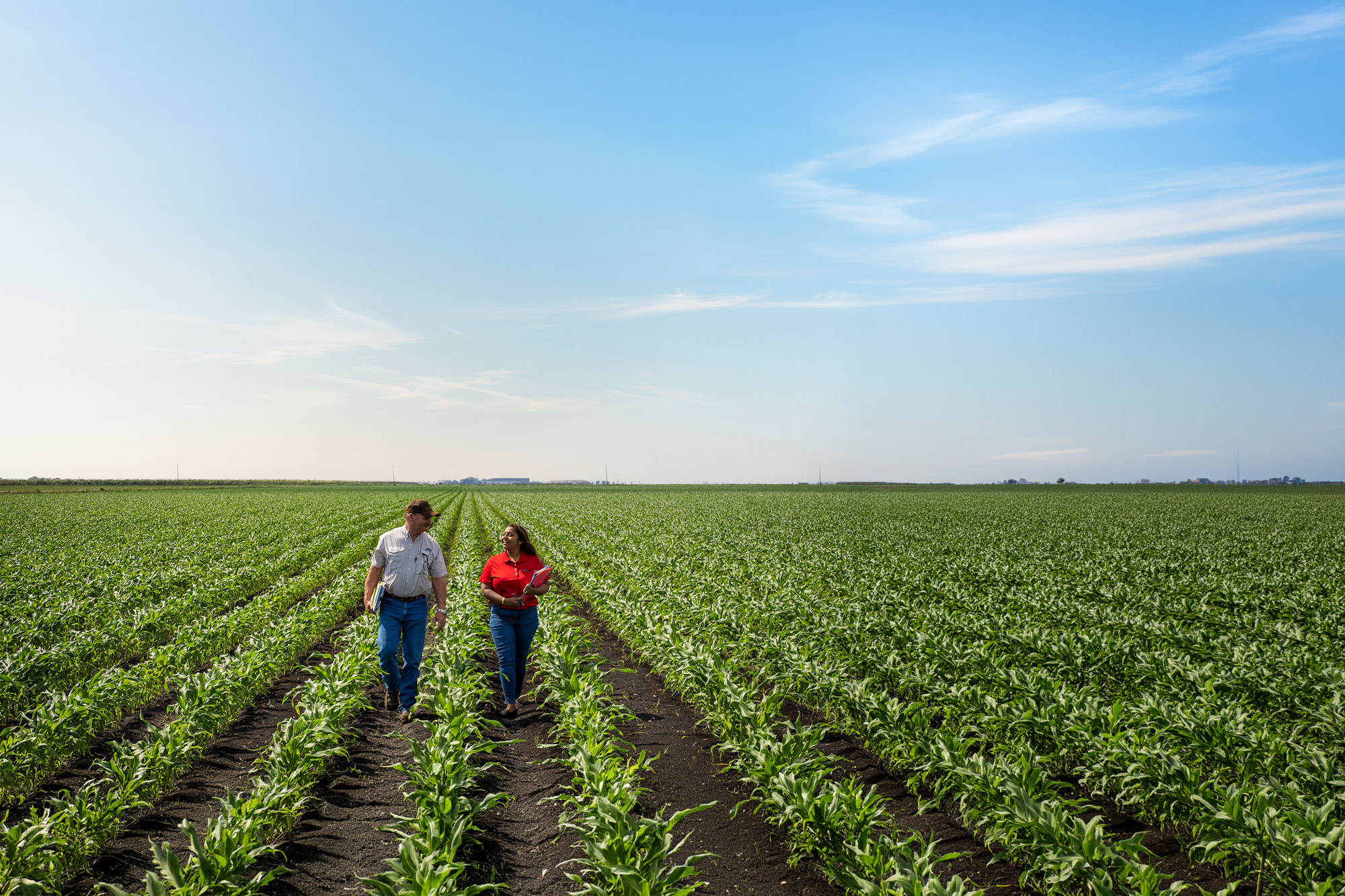 People walking in a field