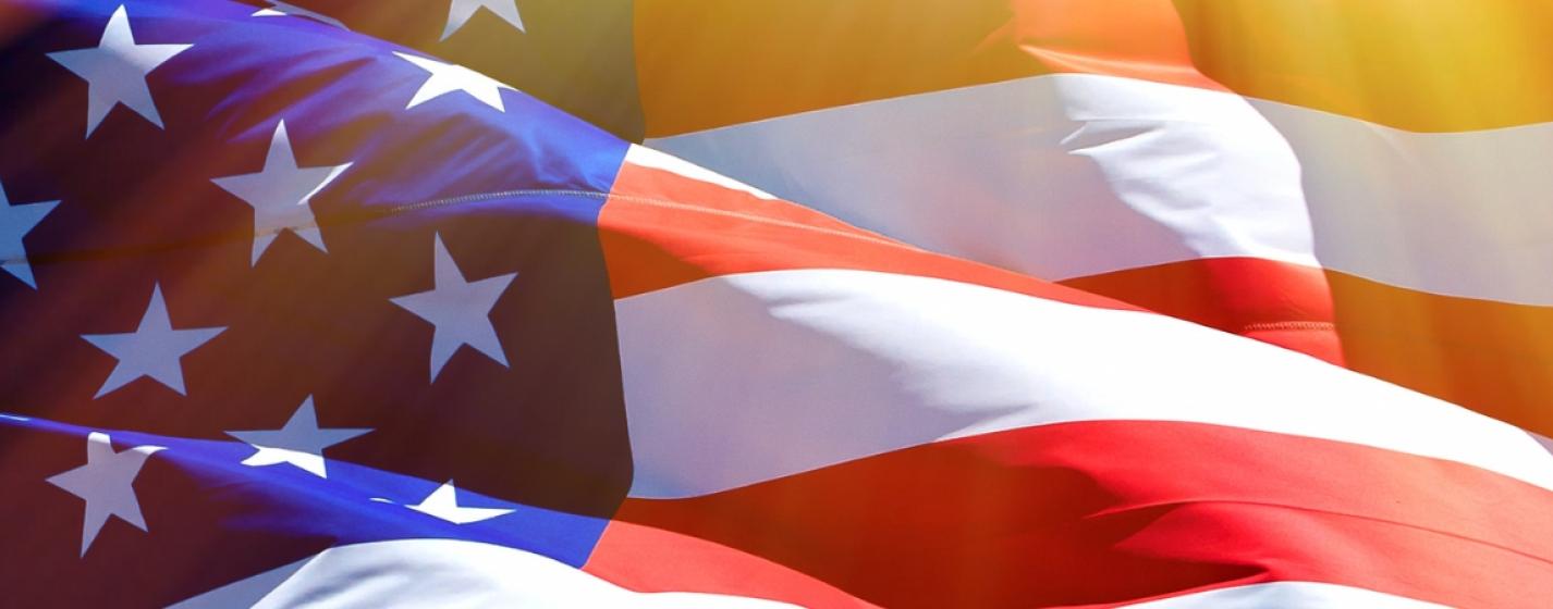 usa flag