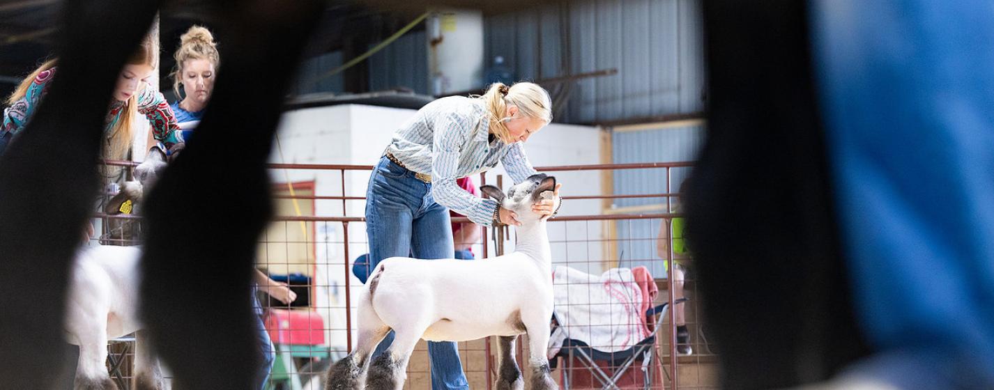 A woman with a sheep