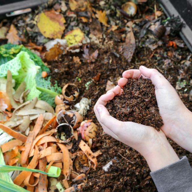 A person holding dirt in a heart shape with compost in the background