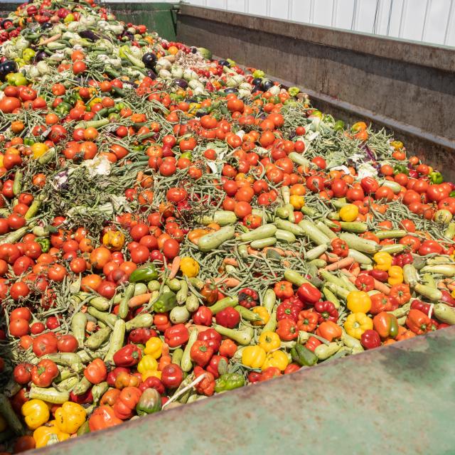 A bin of different fruits and vegetables