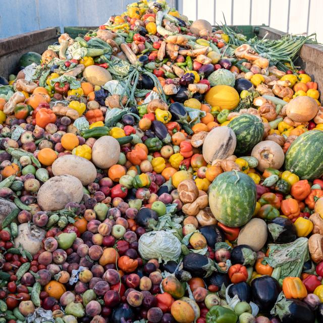 A bin full of compost