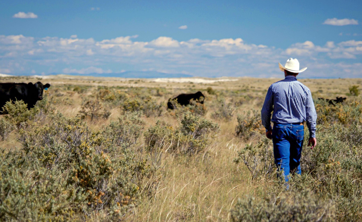 Clayton Gardner raises cattle on 777 Ranch in Torrance County, NM