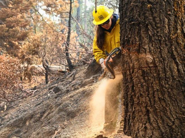 Forest Service firefighter