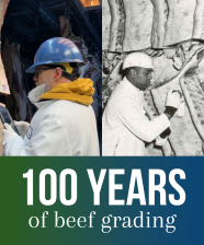 Graphic showing 100 years of grading for beef