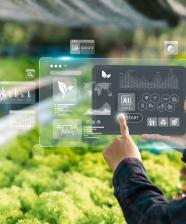 A person clicking onto an overlay displaying AI near crops