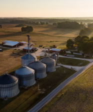 Renfroe Farms