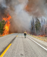 Incident Commander Riley Rhoades watches as the fire crosses Highway 21 from the Trap Fire, Sawtooth National Forest.