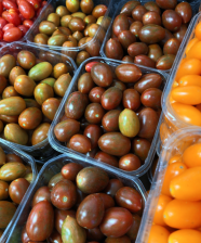Multicolored cherry tomatoes