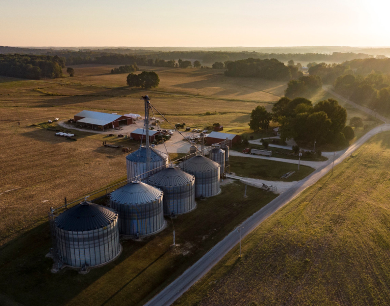 Renfroe Farms