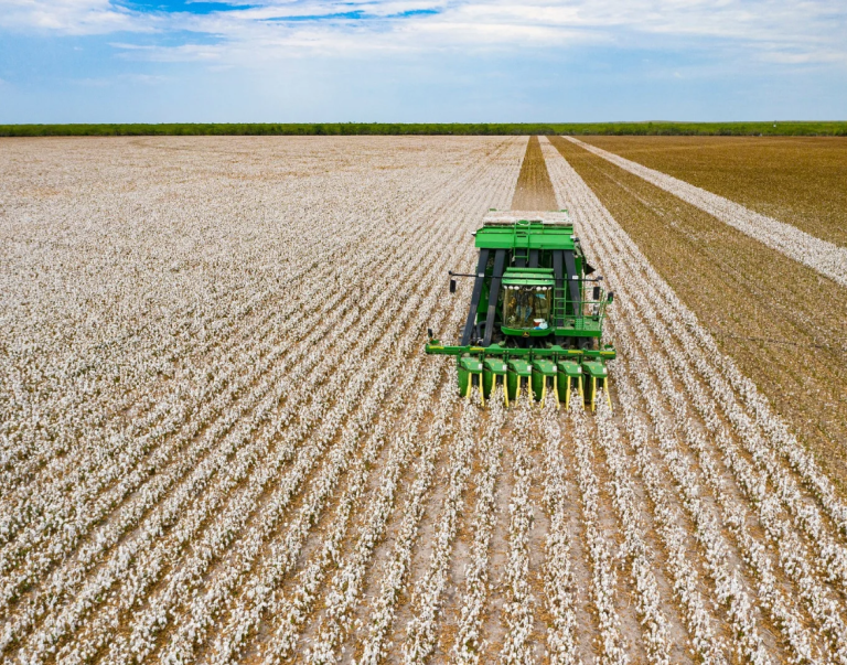 Aerial view of the cotton harvest