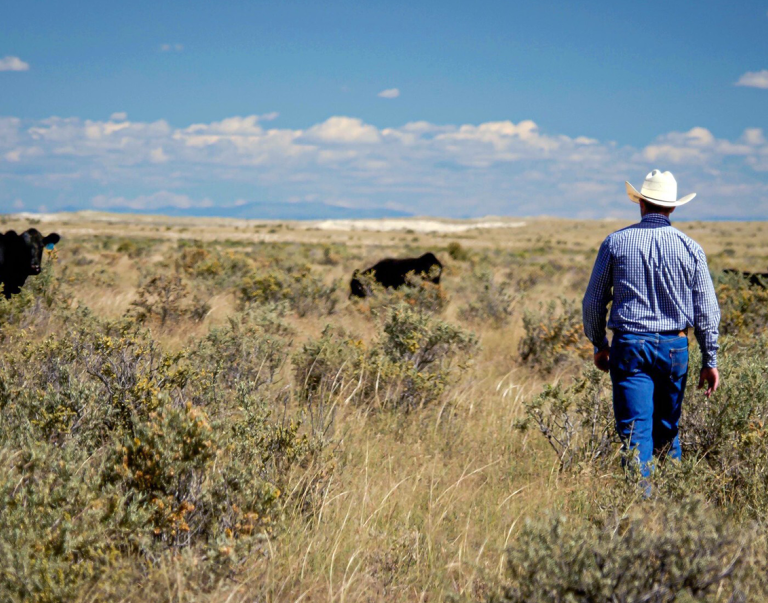 Clayton Gardner raises cattle on 777 Ranch in Torrance County, NM