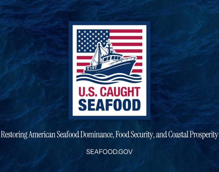 Seafood