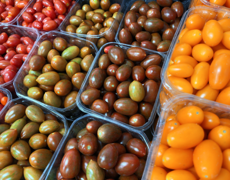 Multicolored cherry tomatoes