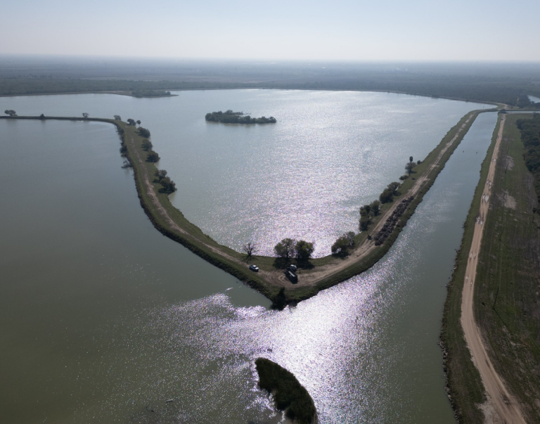 Water near land