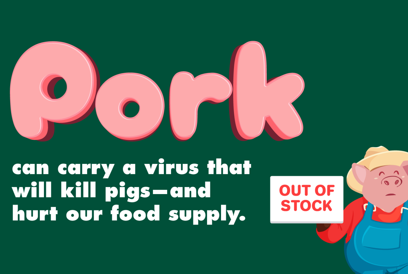 Image showing text "Pork can carry a virus that will kill pigs - and hurt our food supply."
