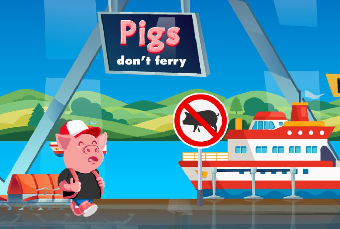 Graphic showing a pig near a boat with a sign 'Pigs don't ferry'