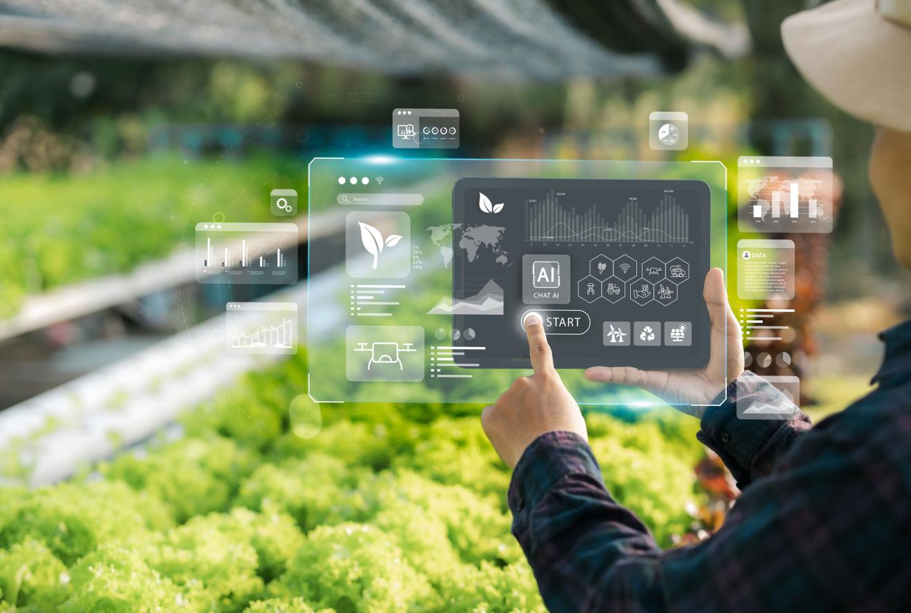 A person clicking onto an overlay displaying AI near crops