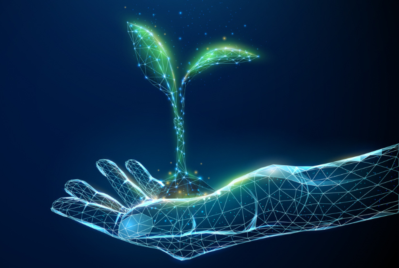 A graphic showing a hand with a plant on top