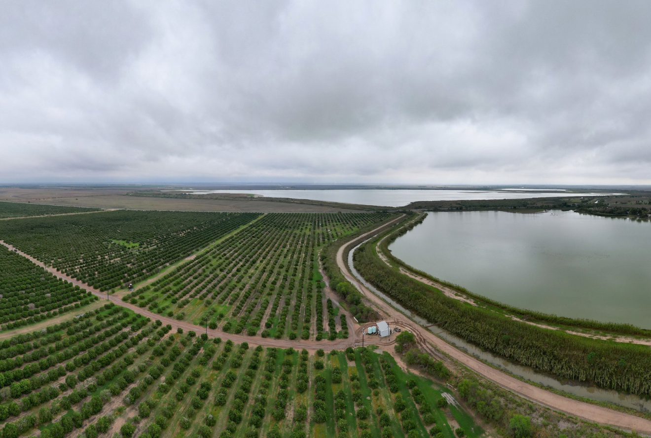 180-degree aerial view of Citrus Grower and Manager of Edinburg Citrus Association and Delta Lakes