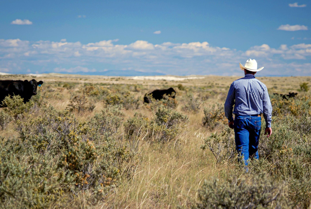 Clayton Gardner raises cattle on 777 Ranch in Torrance County, NM
