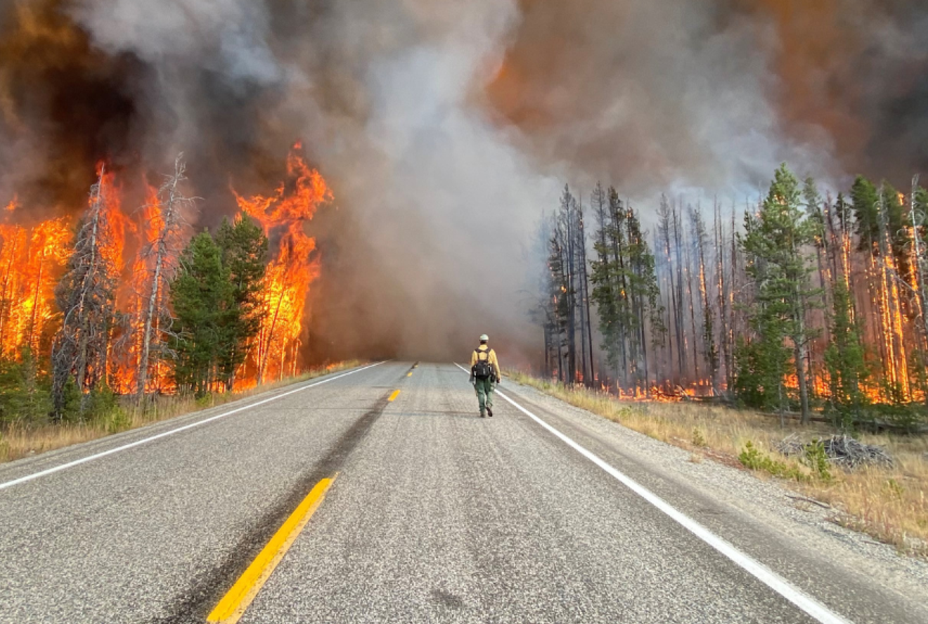 Incident Commander Riley Rhoades watches as the fire crosses Highway 21 from the Trap Fire, Sawtooth National Forest.