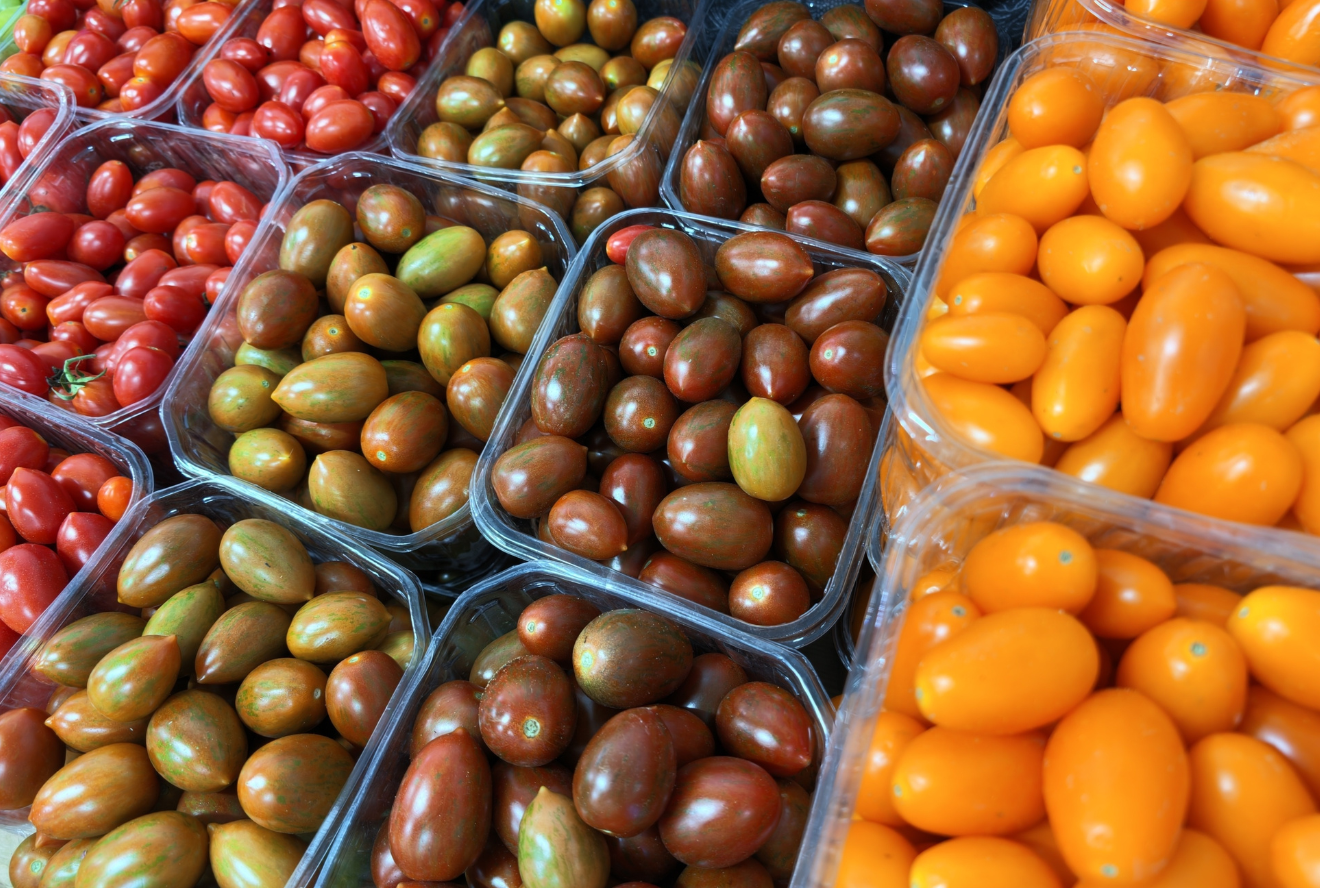 Multicolored cherry tomatoes